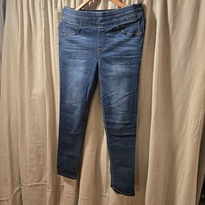 Democracy Indigo Blue Jeggings